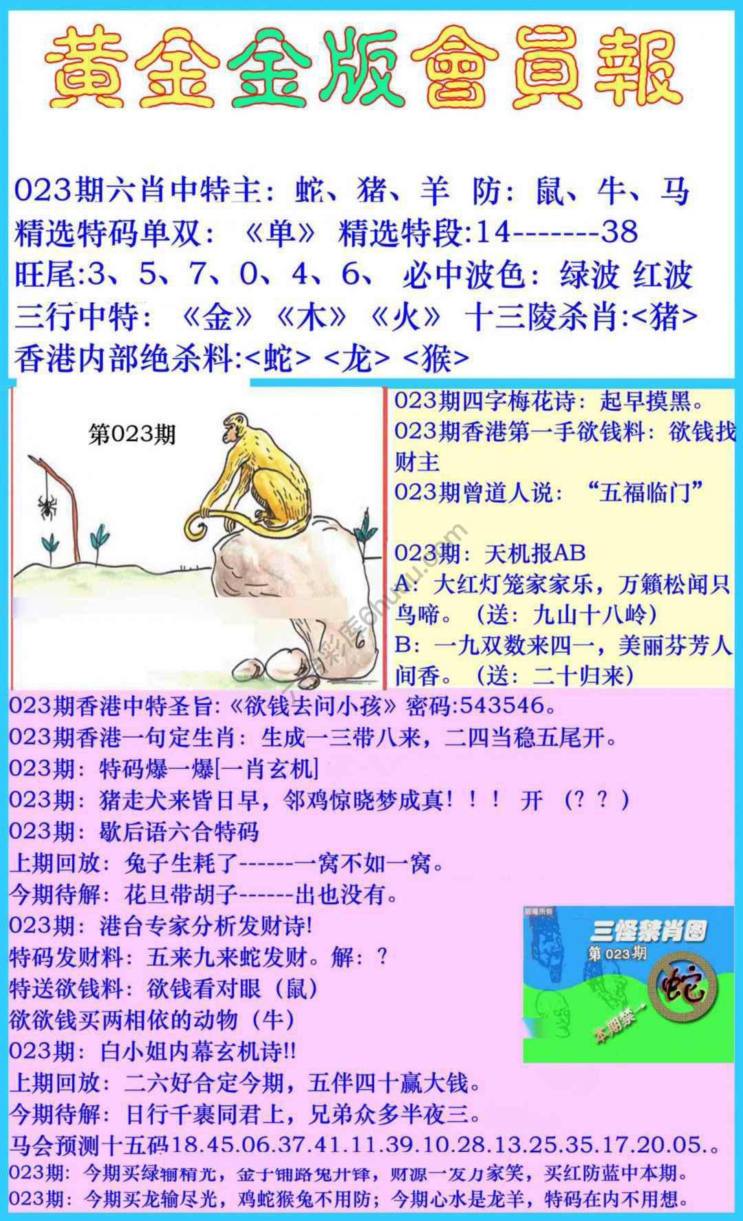 黄金金版会员报