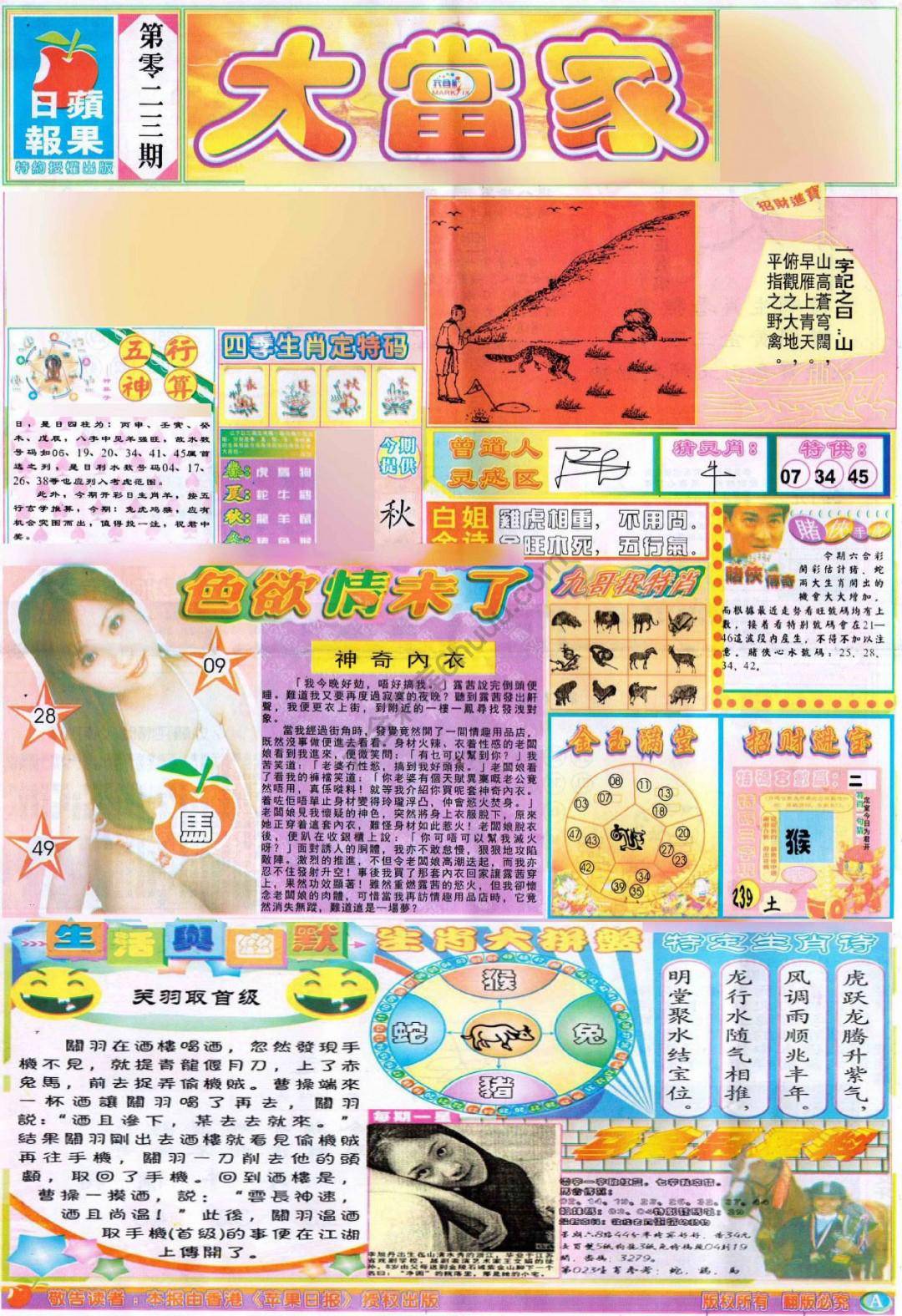 大当家