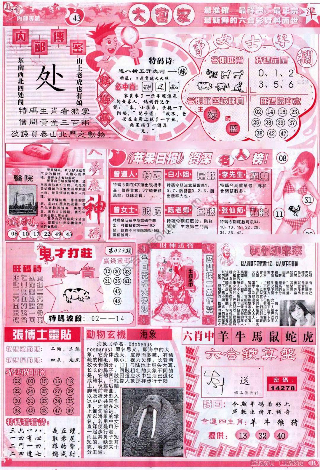 大当家