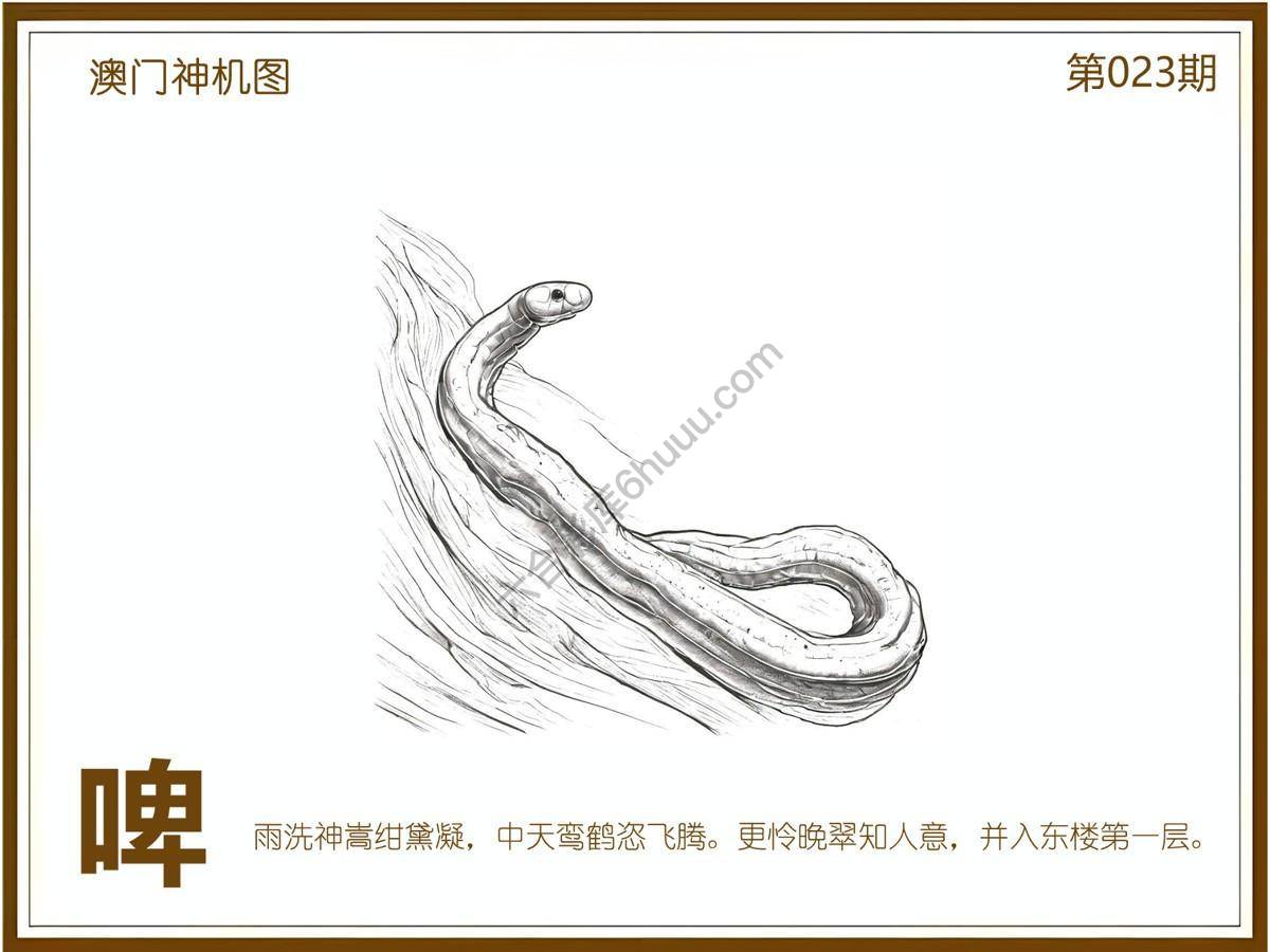 澳门神机图