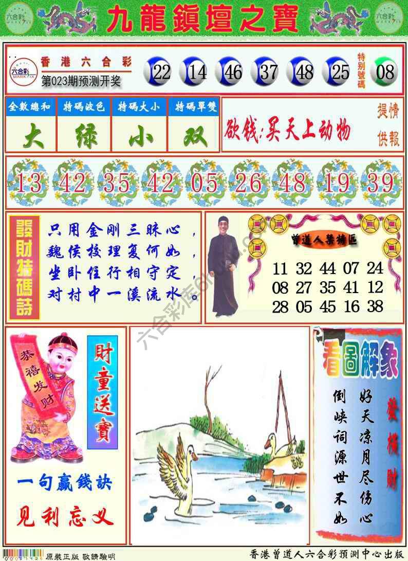 九龙挂牌解特码