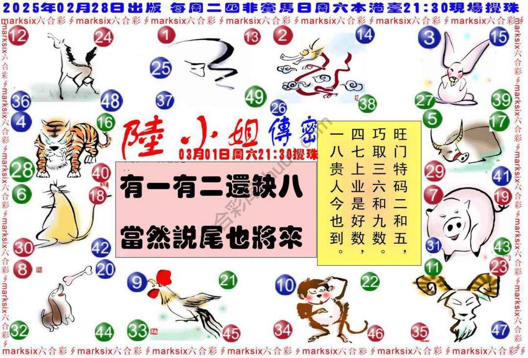 陆小姐传密