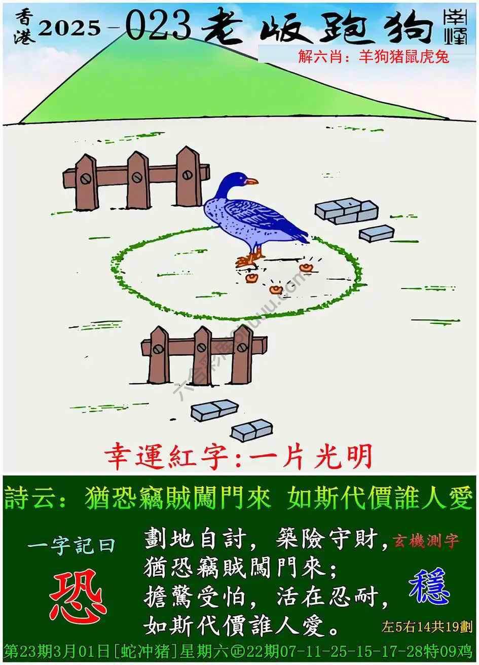 老版跑狗图