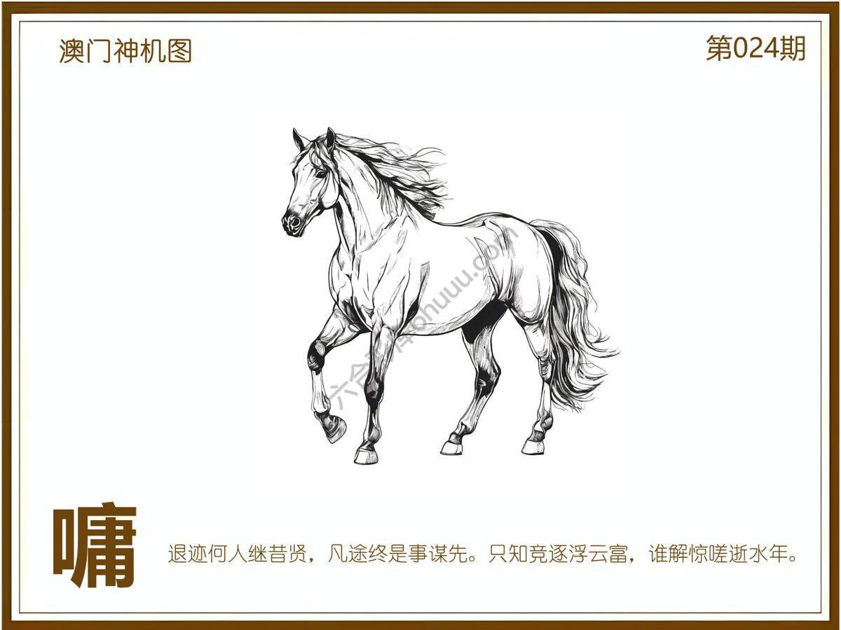 澳门神机图