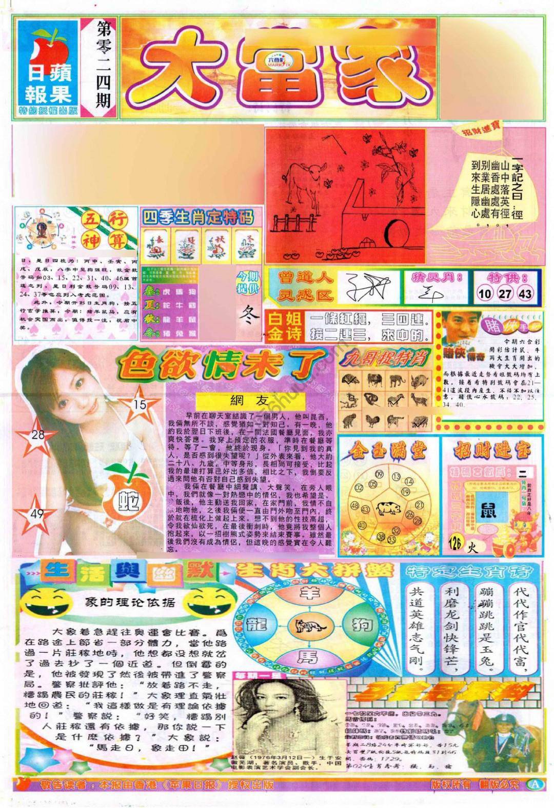 大当家