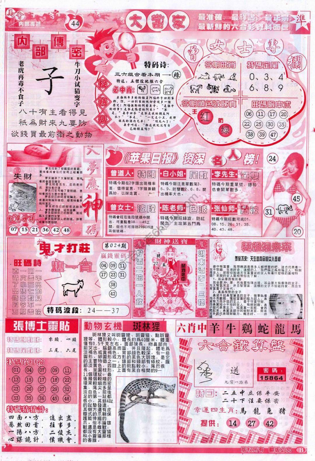 大当家