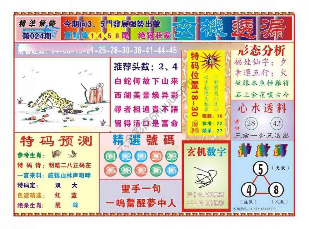 玄机透漏