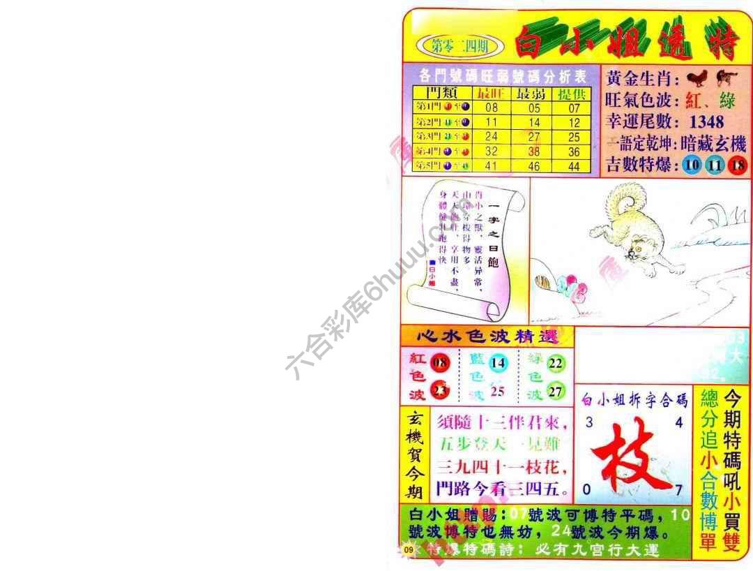 白小姐透特