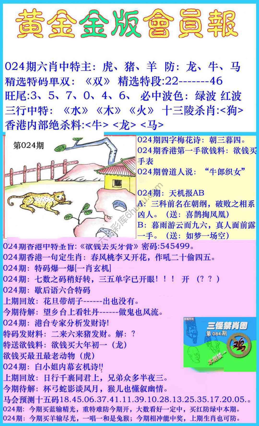 黄金金版会员报