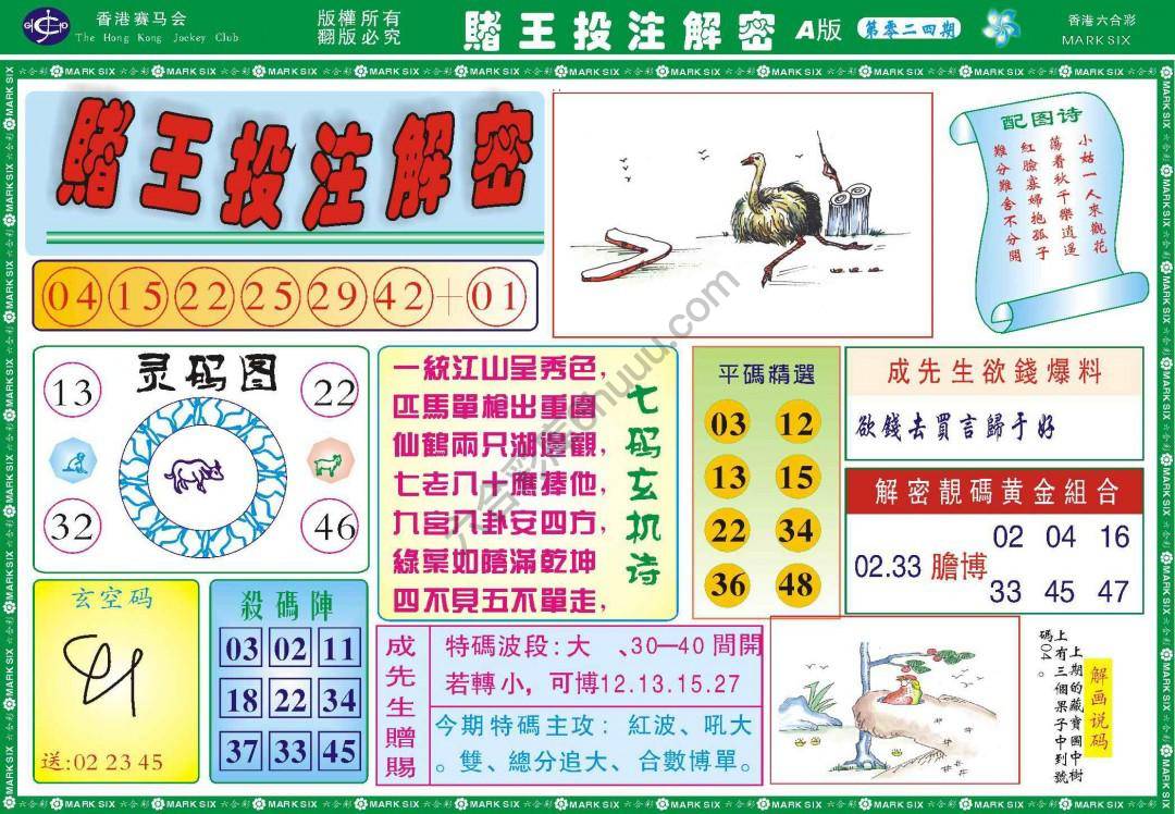 赌王投注解密