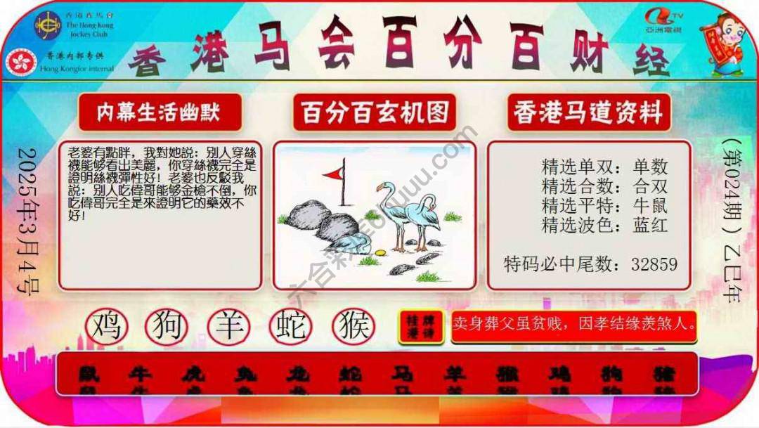 百分百财经