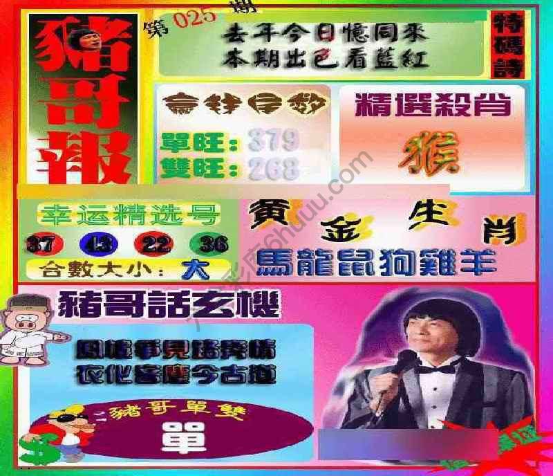 猪哥报
