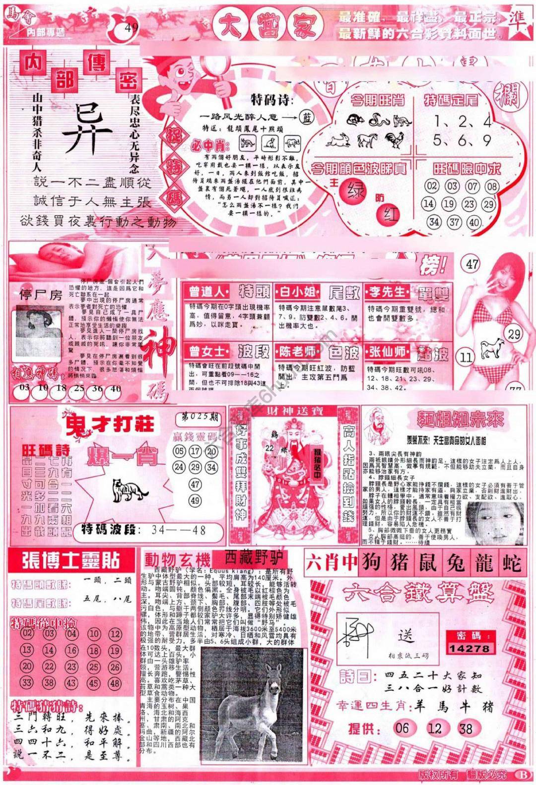 大当家
