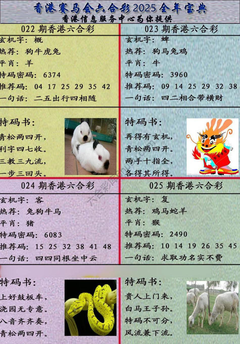 宝典报