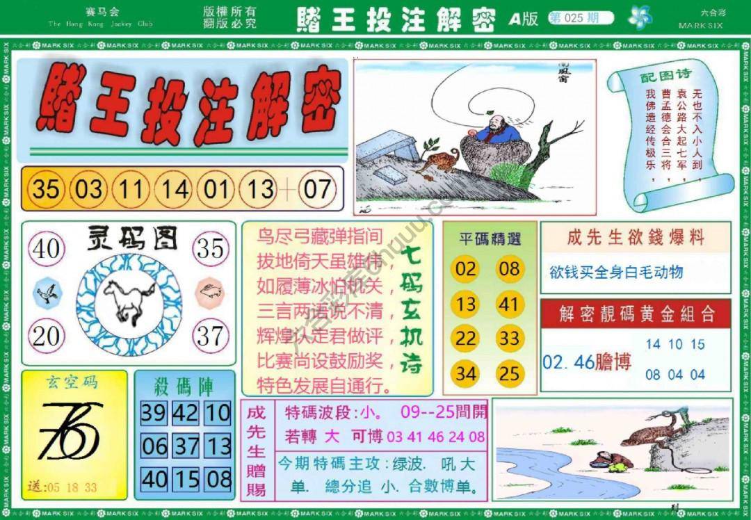 赌王投注解密