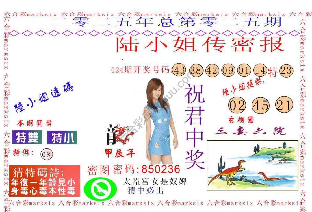 陆小姐传密