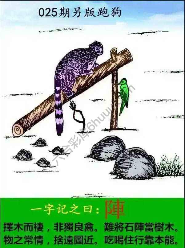 另版跑狗