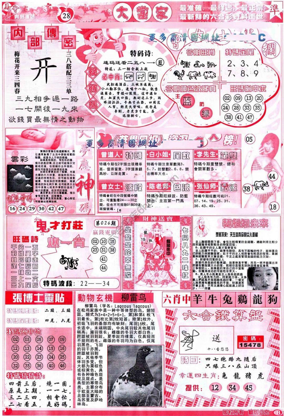 大当家