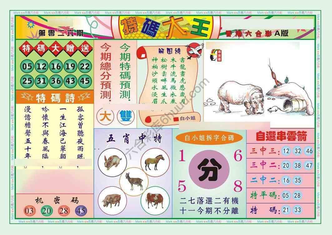 特码大王