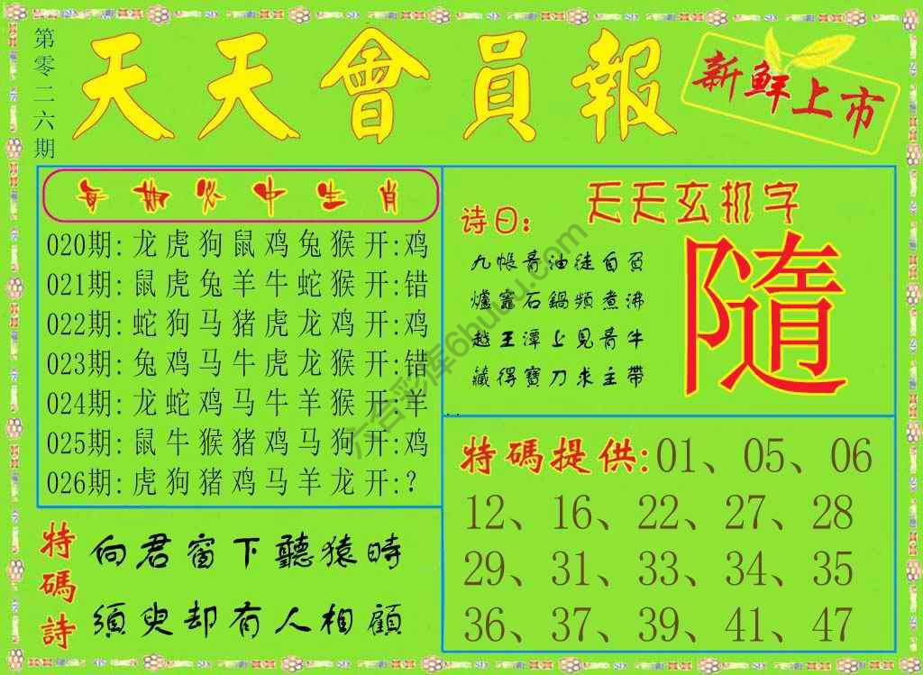 天天会员报