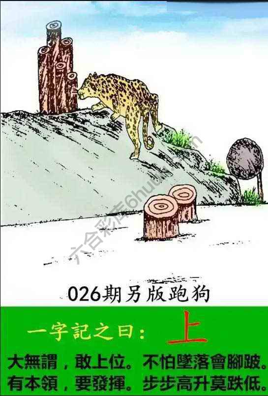 另版跑狗