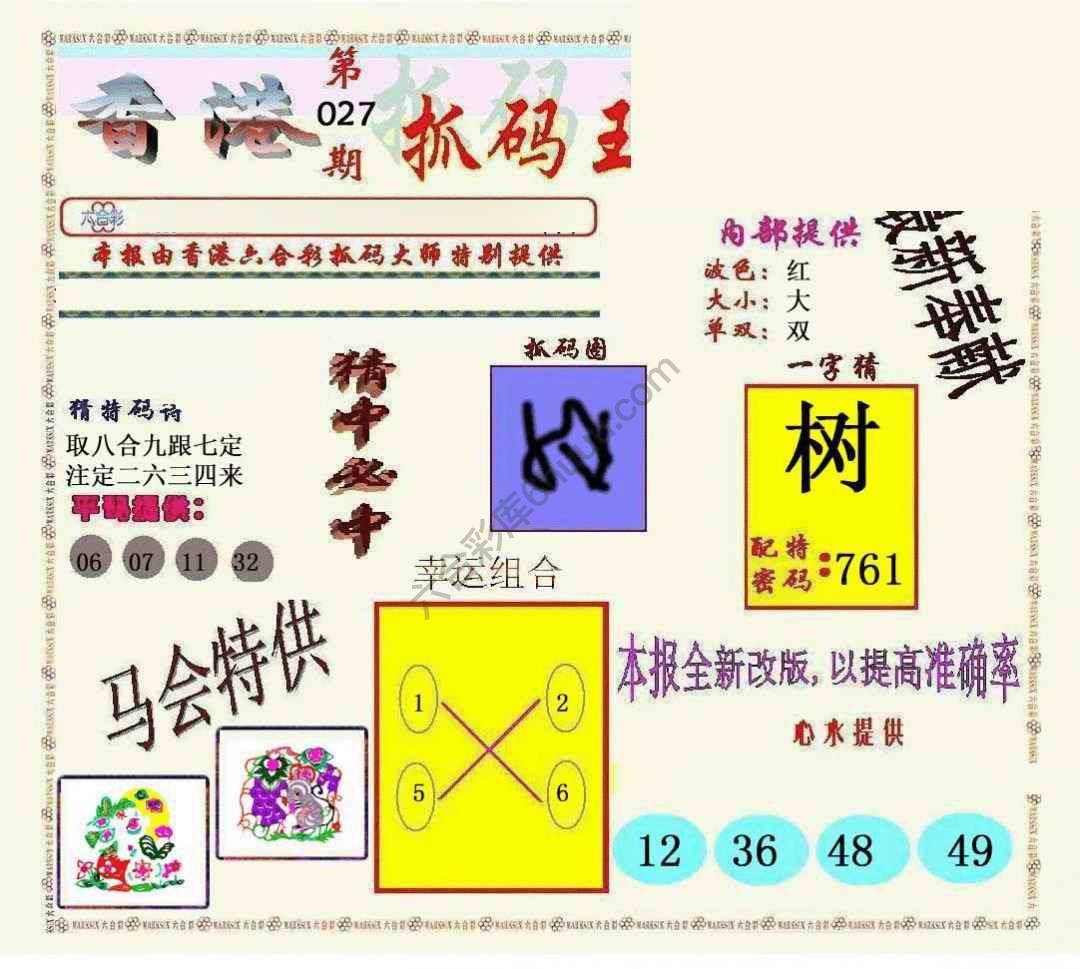 新抓码王