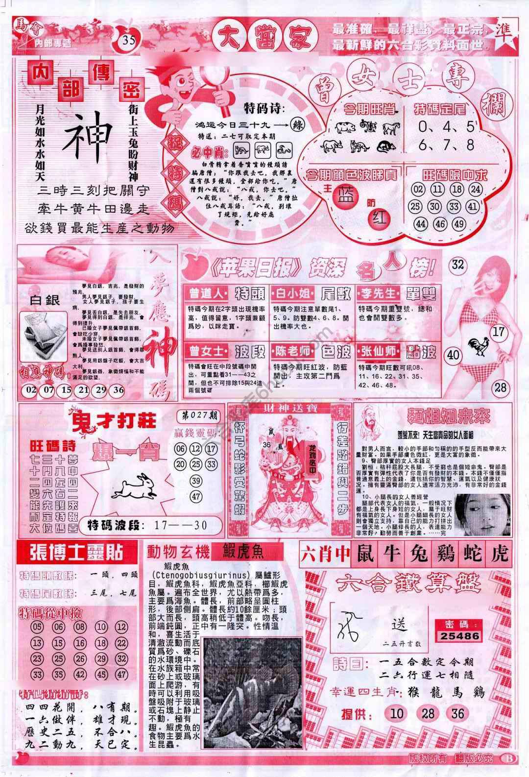 大当家