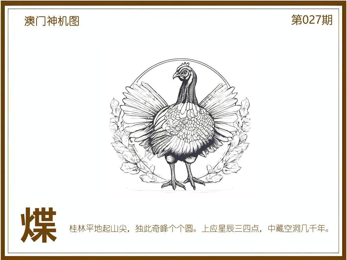 澳门神机图