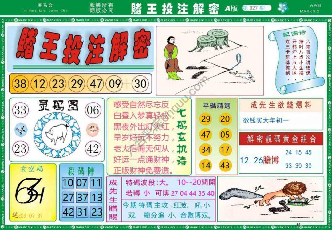 赌王投注解密