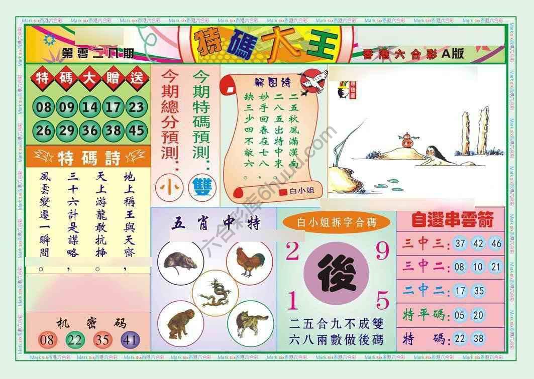 特码大王