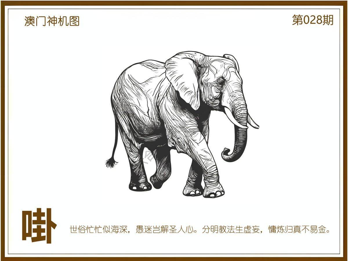 澳门神机图