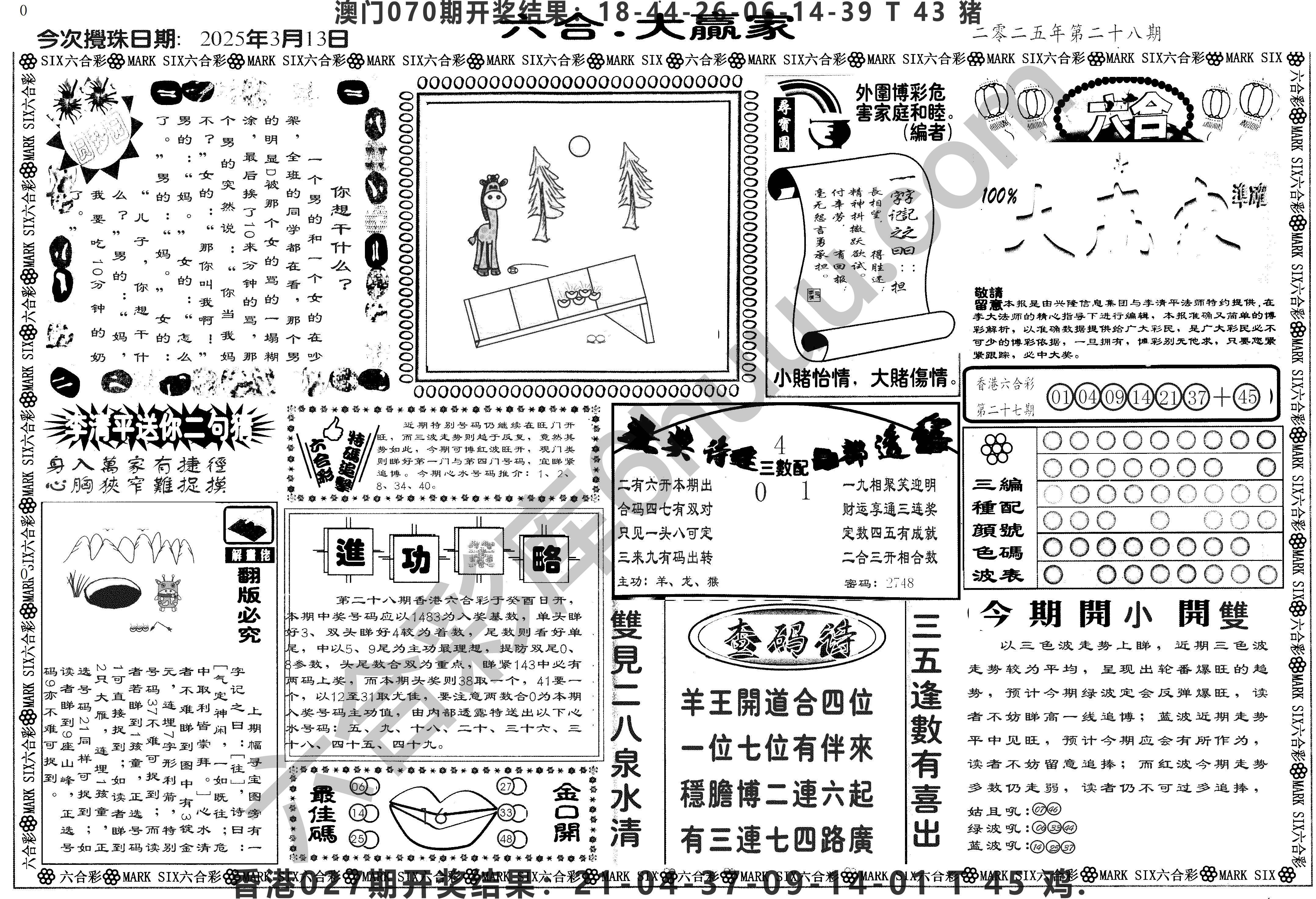 大家赢