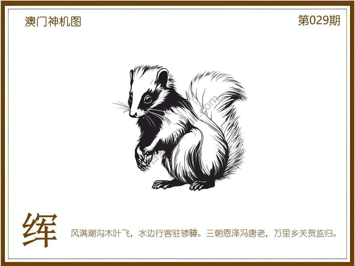 澳门神机图