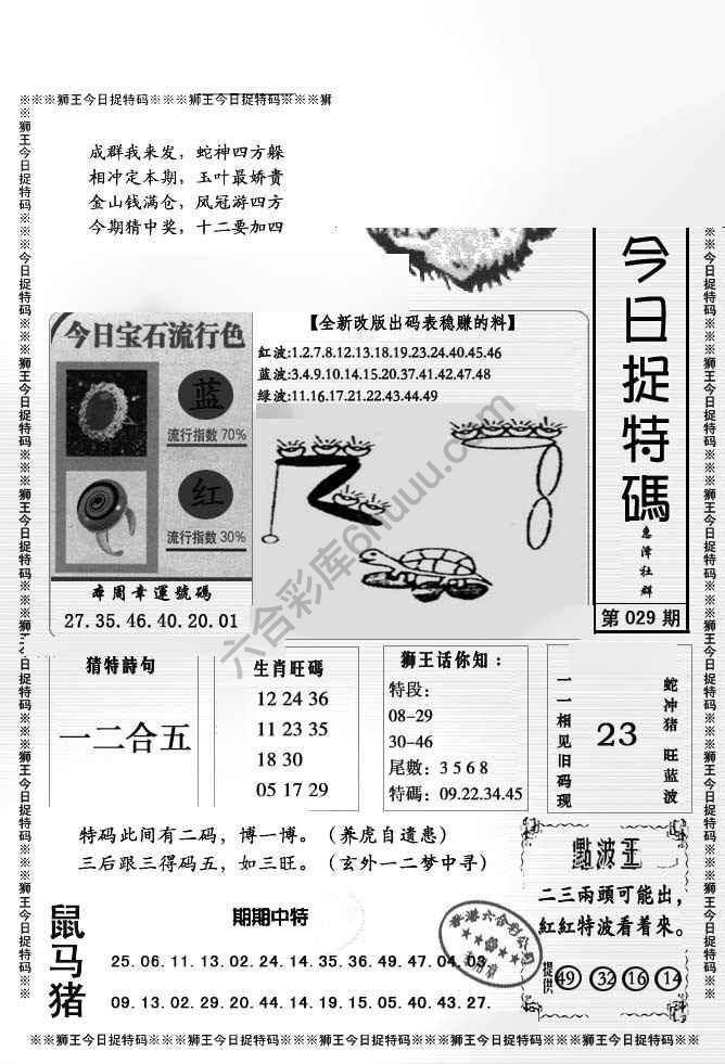 狮王今日抓特码