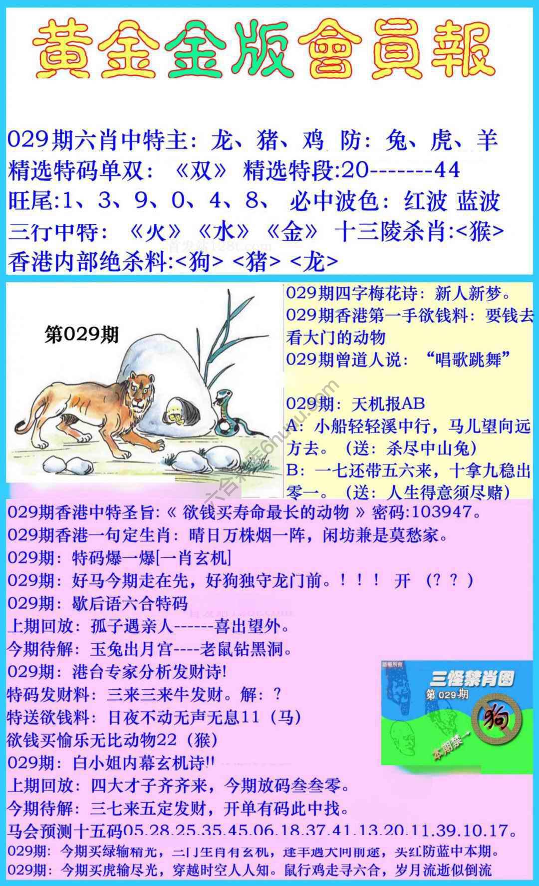 黄金金版会员报