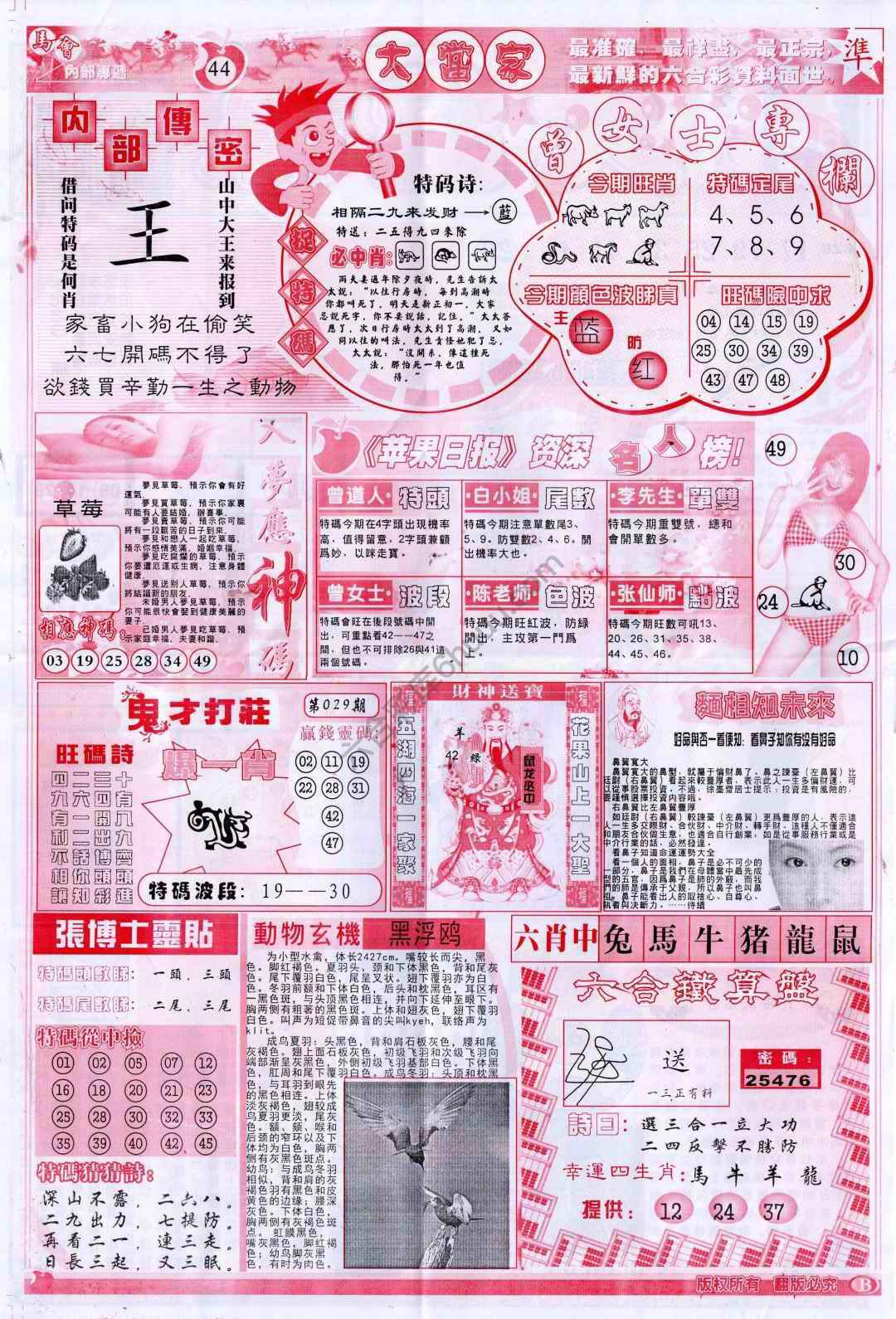 大当家