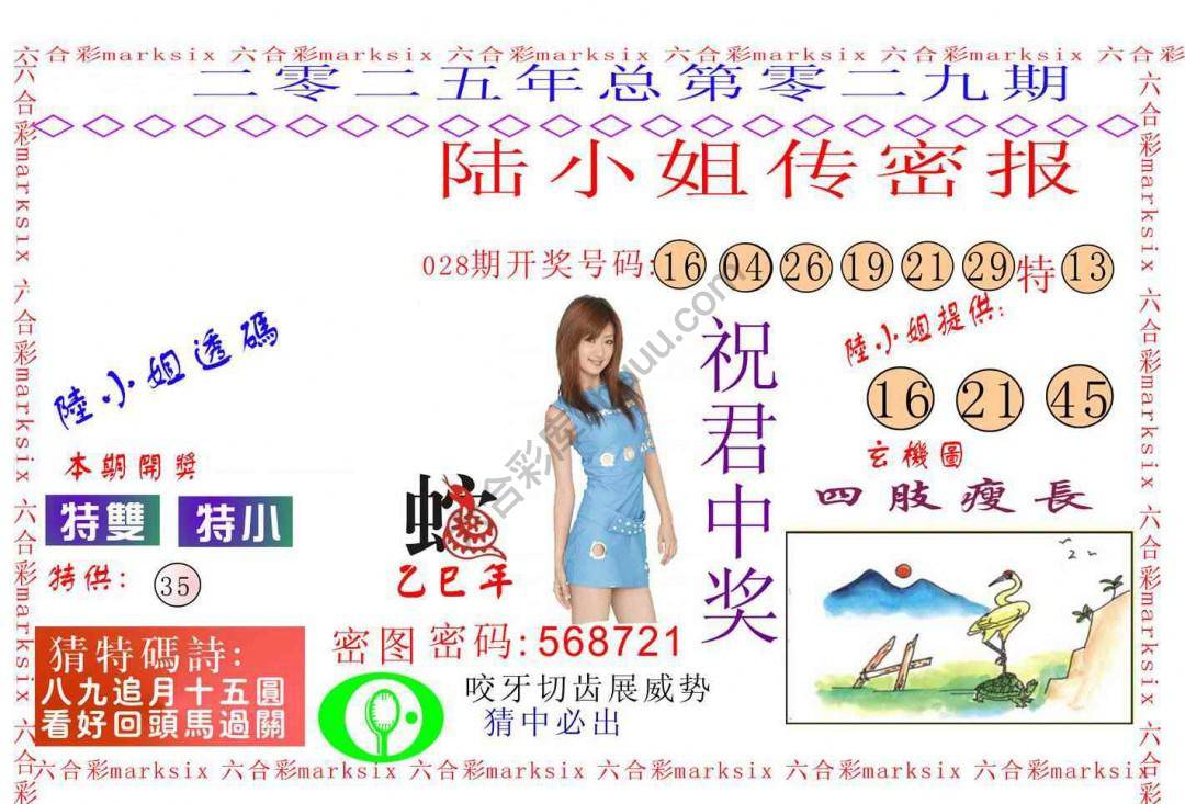 陆小姐传密