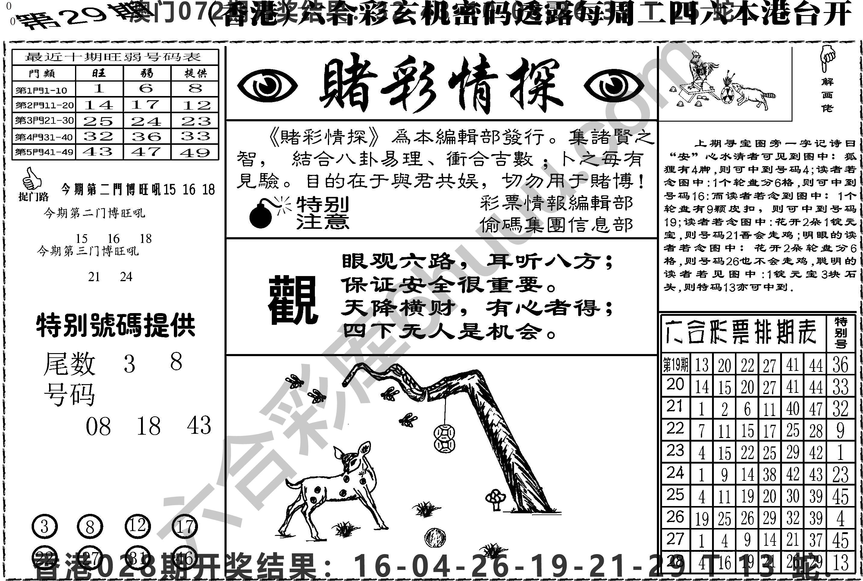 赌彩情探