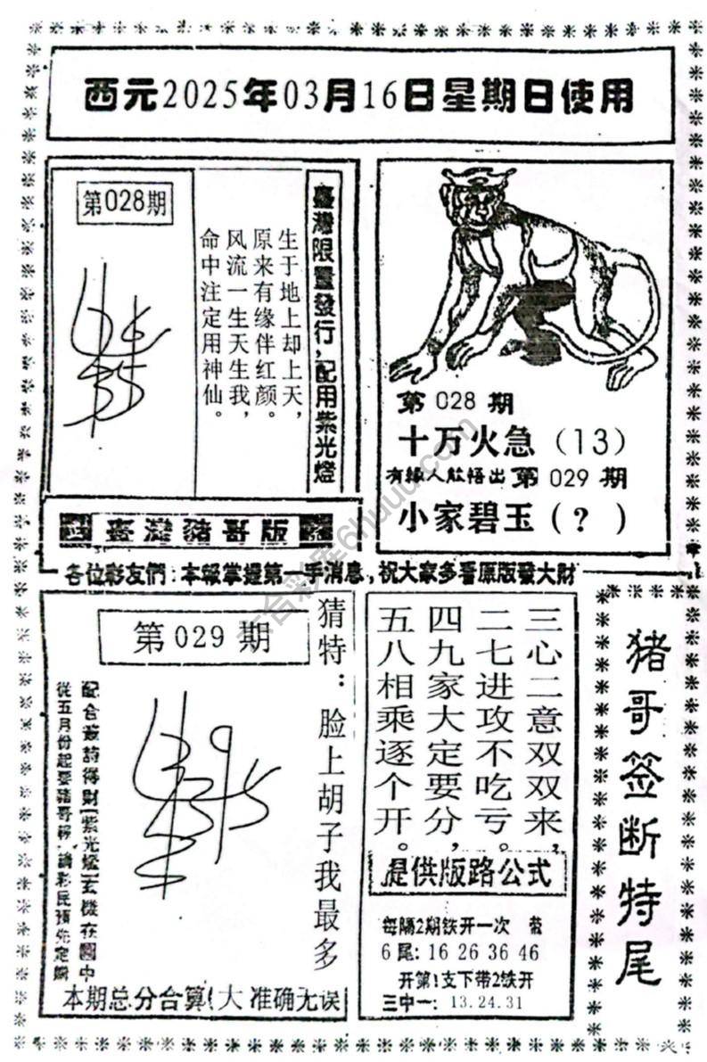 猪哥签断特尾