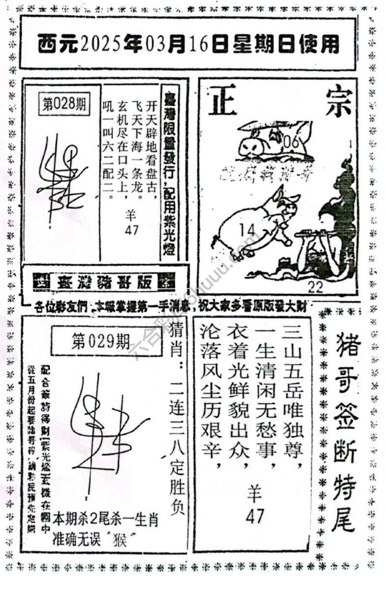 猪哥签断特尾
