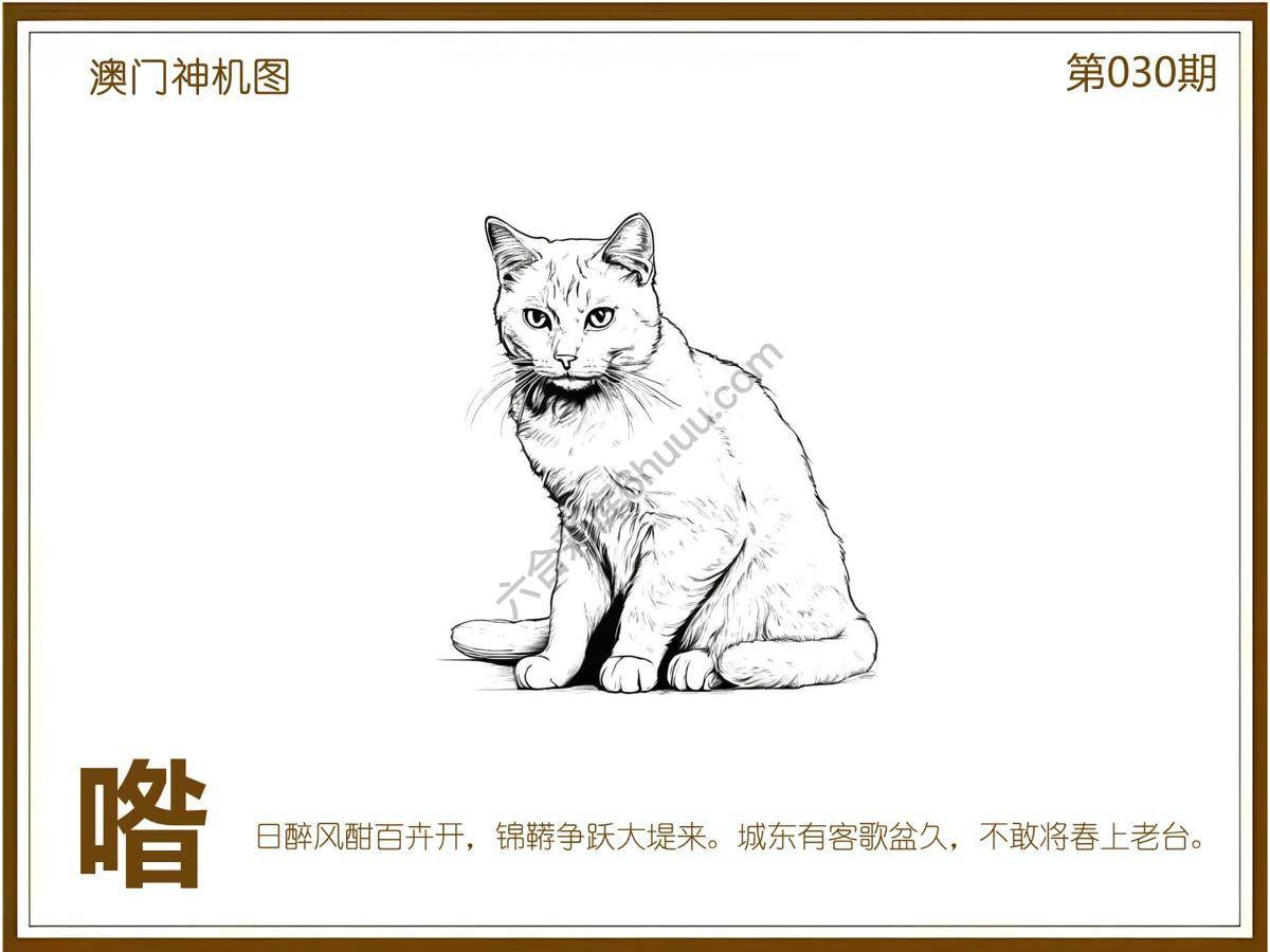 澳门神机图