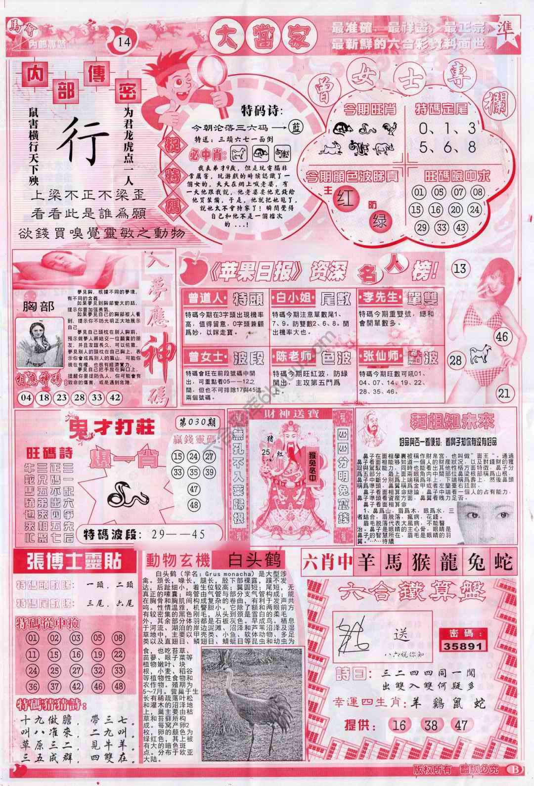 大当家