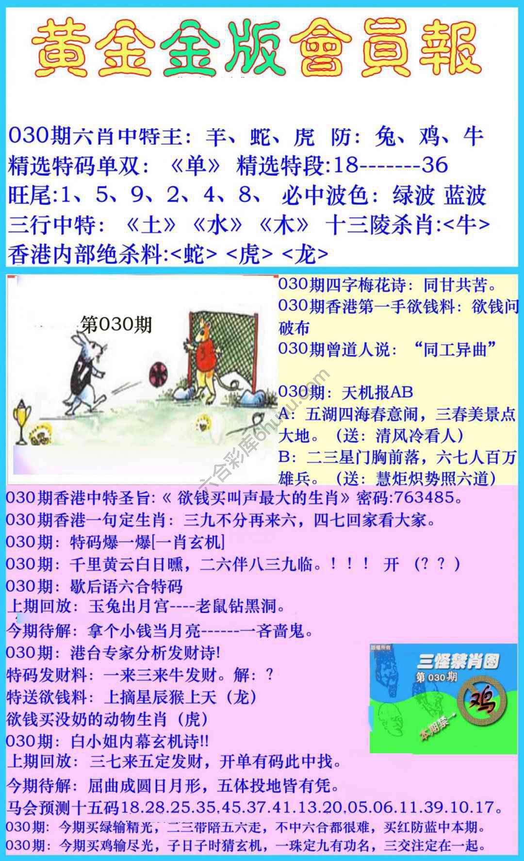 黄金金版会员报