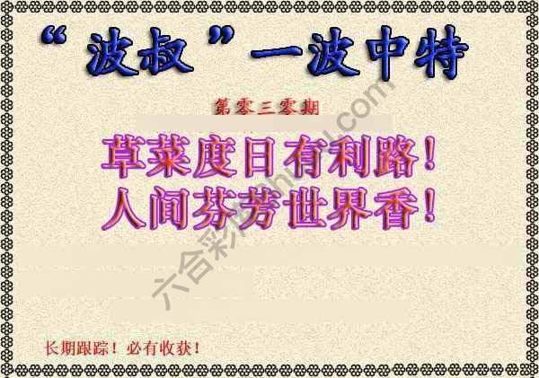 波叔一波中特
