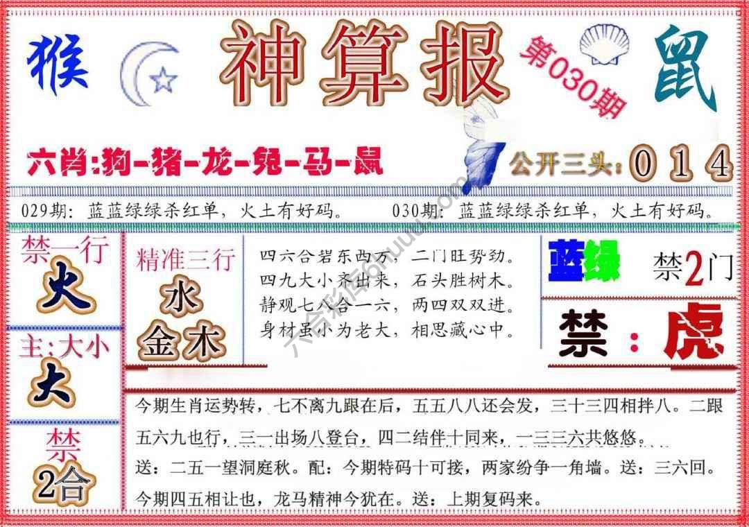 神算报新版