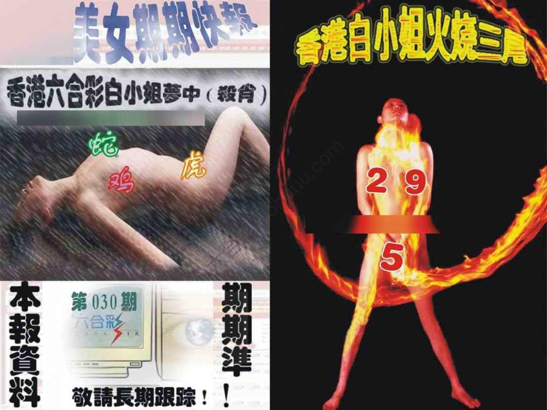 环球美女特码报