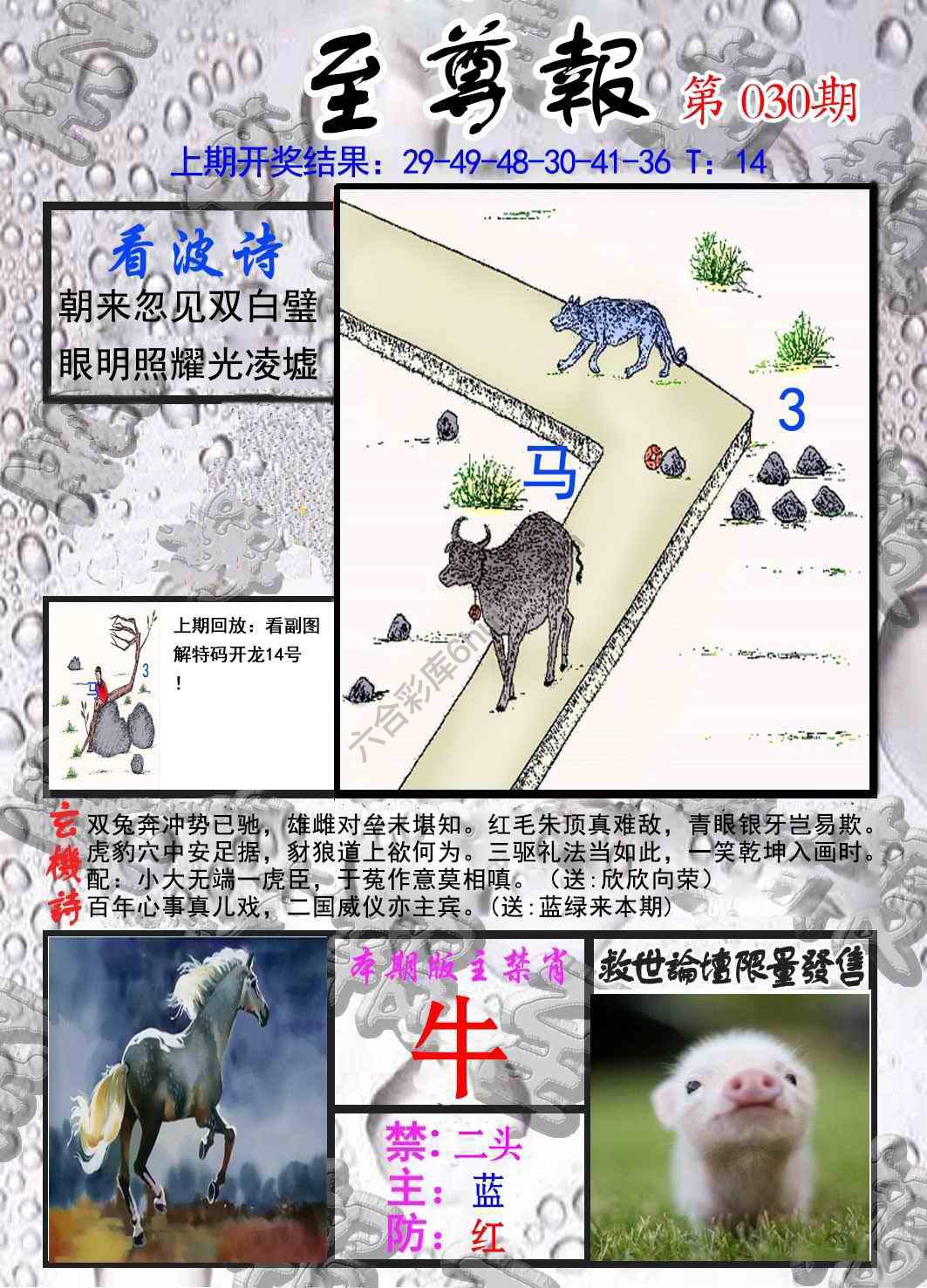 至尊报