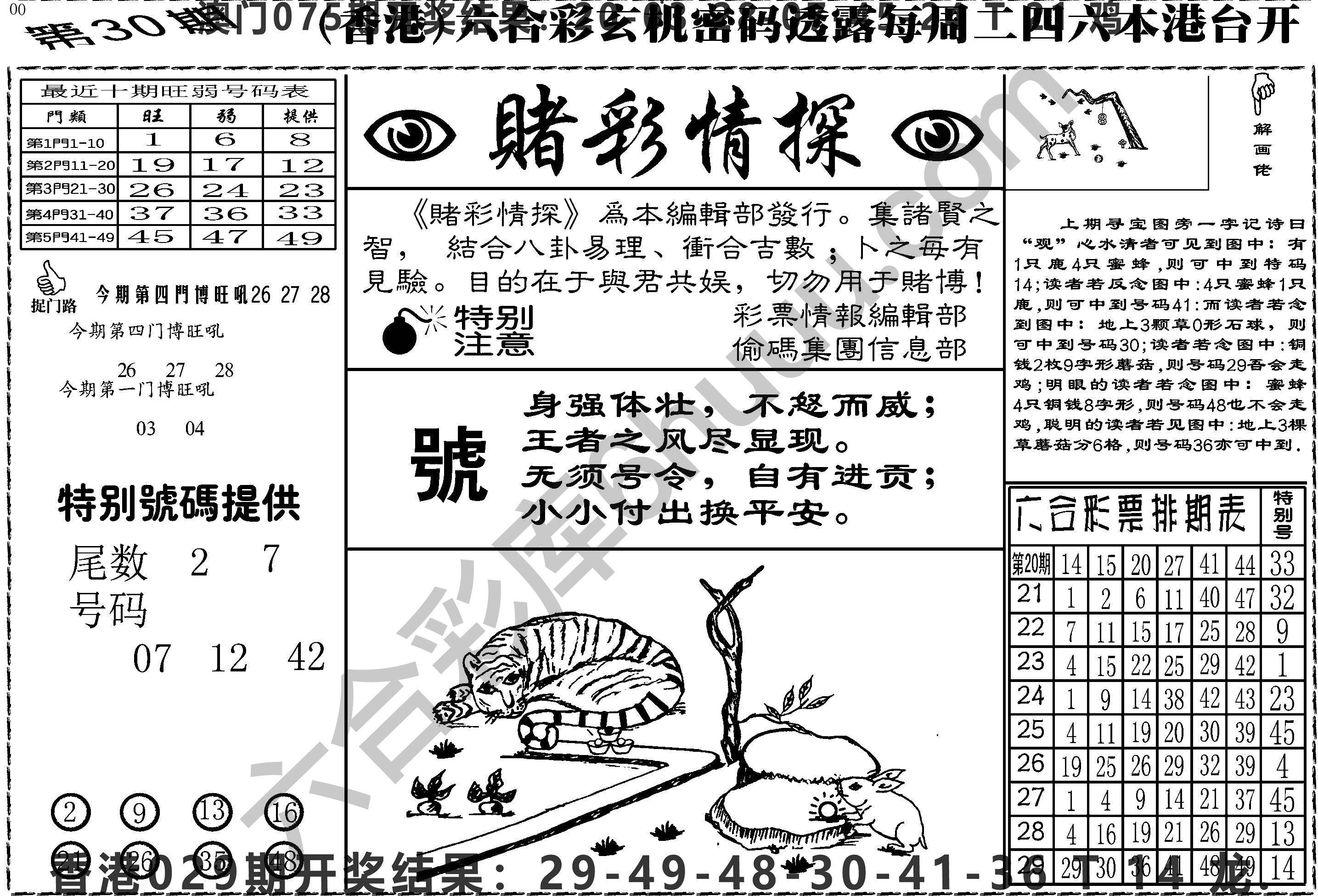赌彩情探