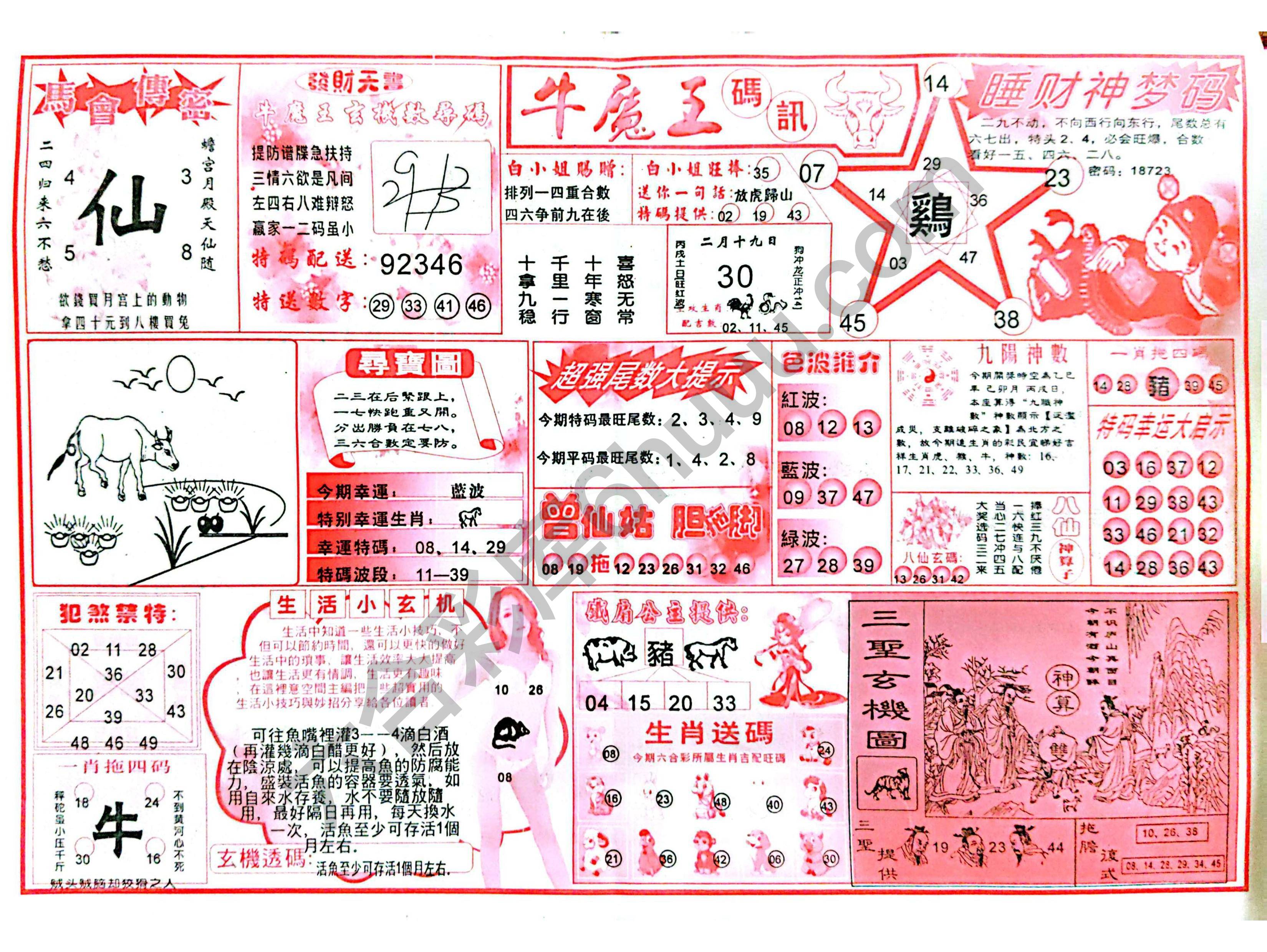 牛魔王码讯