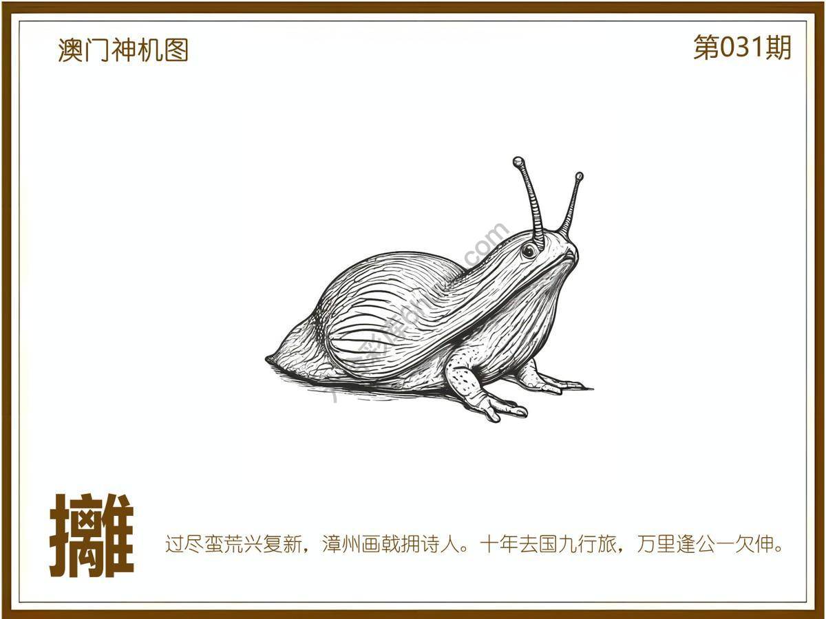澳门神机图